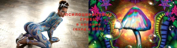Альфа ПВП Богданович