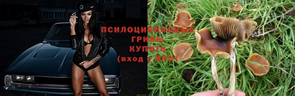 дмт Богородск