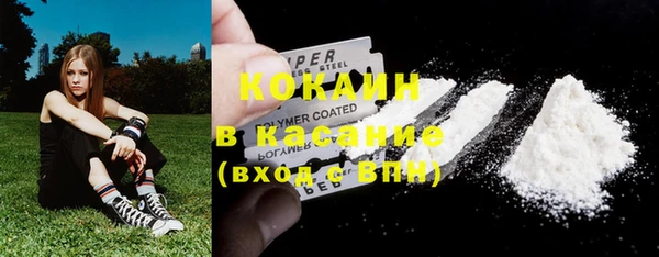 гашик Богородицк