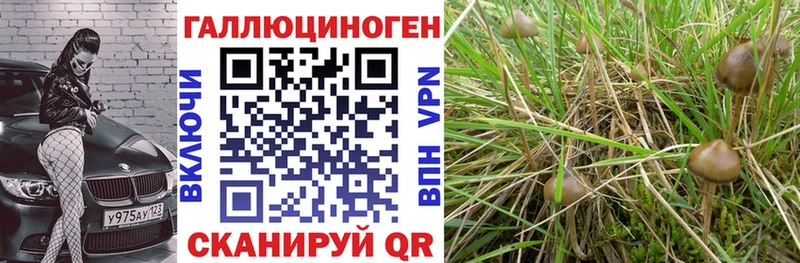 где можно купить   гидра рабочий сайт  Галлюциногенные грибы ЛСД  даркнет наркотические препараты  Дмитровск 