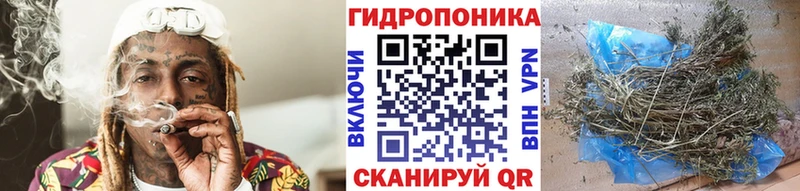 Бошки Шишки гибрид Дмитровск